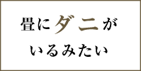 畳にダニがいるみたい