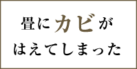 畳にカビがはえてしまった