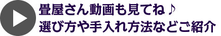 動画も見てね！～畳の選び方・お手入れ方法などご紹介～